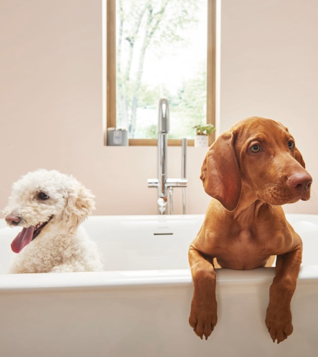 American Standard Round Freestanding Tub Filler 13 American Standard Round Freestanding Tub Filler - Image 8