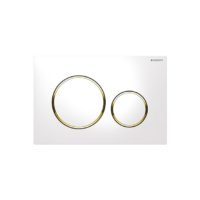 White with polished gold accent-min