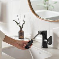 PULL-OUT_SPOUT_BATHROOM_FAUCET