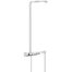 Grohe Thermostatic Exposed Shower System