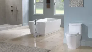 TOTO Drake Toilet - One of the best on the market 4 Modern bathroom with tub and toilet