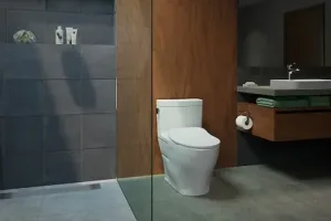 TOTO Drake Toilet - One of the best on the market 5 Modern bathroom with glass shower