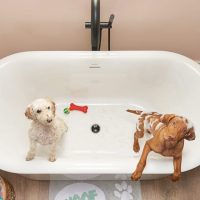 American Standard Round Freestanding Tub Filler - Image 5