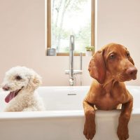American Standard Round Freestanding Tub Filler - Image 8