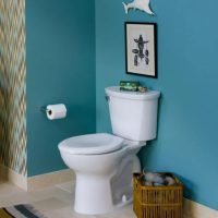 Cadet Pro 4.8L RH Elongated 2-Piece Toilet 215AA154.020 - Image 4