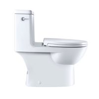 Caroma Caravelle 989100 Elongated One Piece Toilet - Image 2