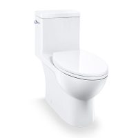 Caroma Caravelle 989100 Elongated One Piece Toilet