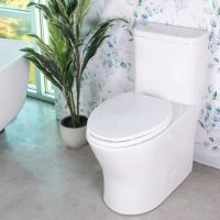 Fluid Citi Rimless Elongated One Piece Toilet FT240120W - Image 2