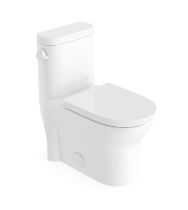 Produits Neptune Florence 220290 One Piece Toilet 4.8L