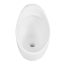 Contrac Braebourne 4810BZY Rear Inlet Urinal 0.5 lpf