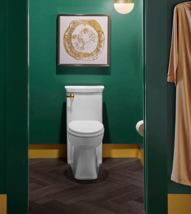 DXV Belshire D22025A101.415 One-Piece Elongated Toilet 4 DXV Belshire D22025A101.415 One-Piece Elongated Toilet - Image 3